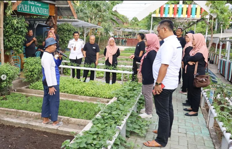 Belajar bersama bercocok tanam di Kelompok Pekarangan Pangan Lestari (KP2L) Pari Mandiri Kelurahan Manisrejo